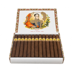 Bolivar Petit Coronas (25)