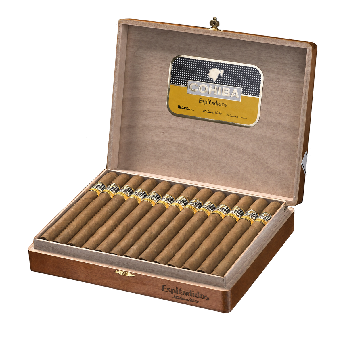 Cohiba Esplendidos BN (25)