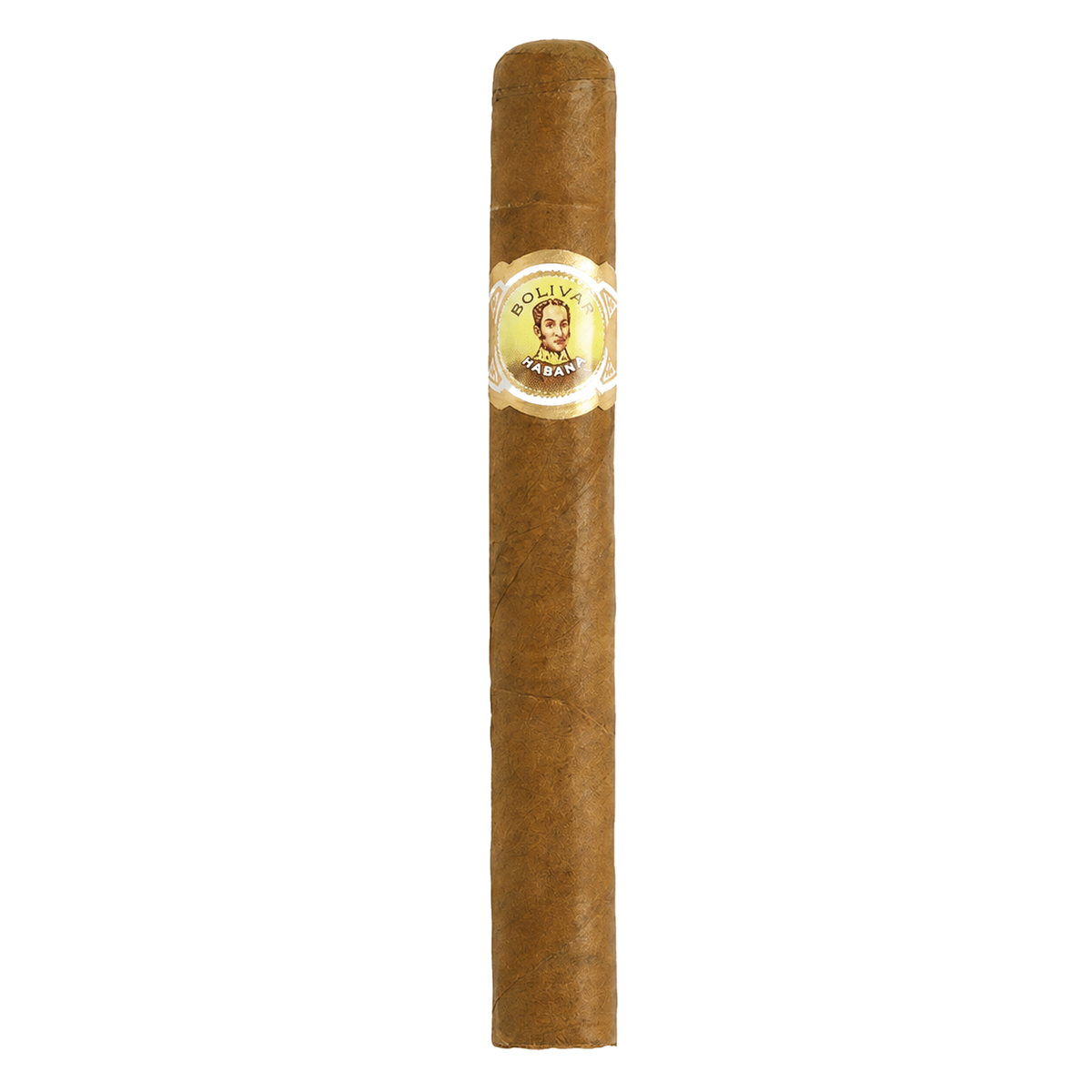Bolivar Petit Coronas (25)