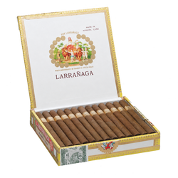 Por Larrañaga Montecarlos (25)