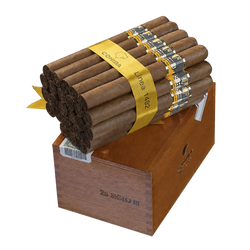 Cohiba Siglo 3 SLB (25)