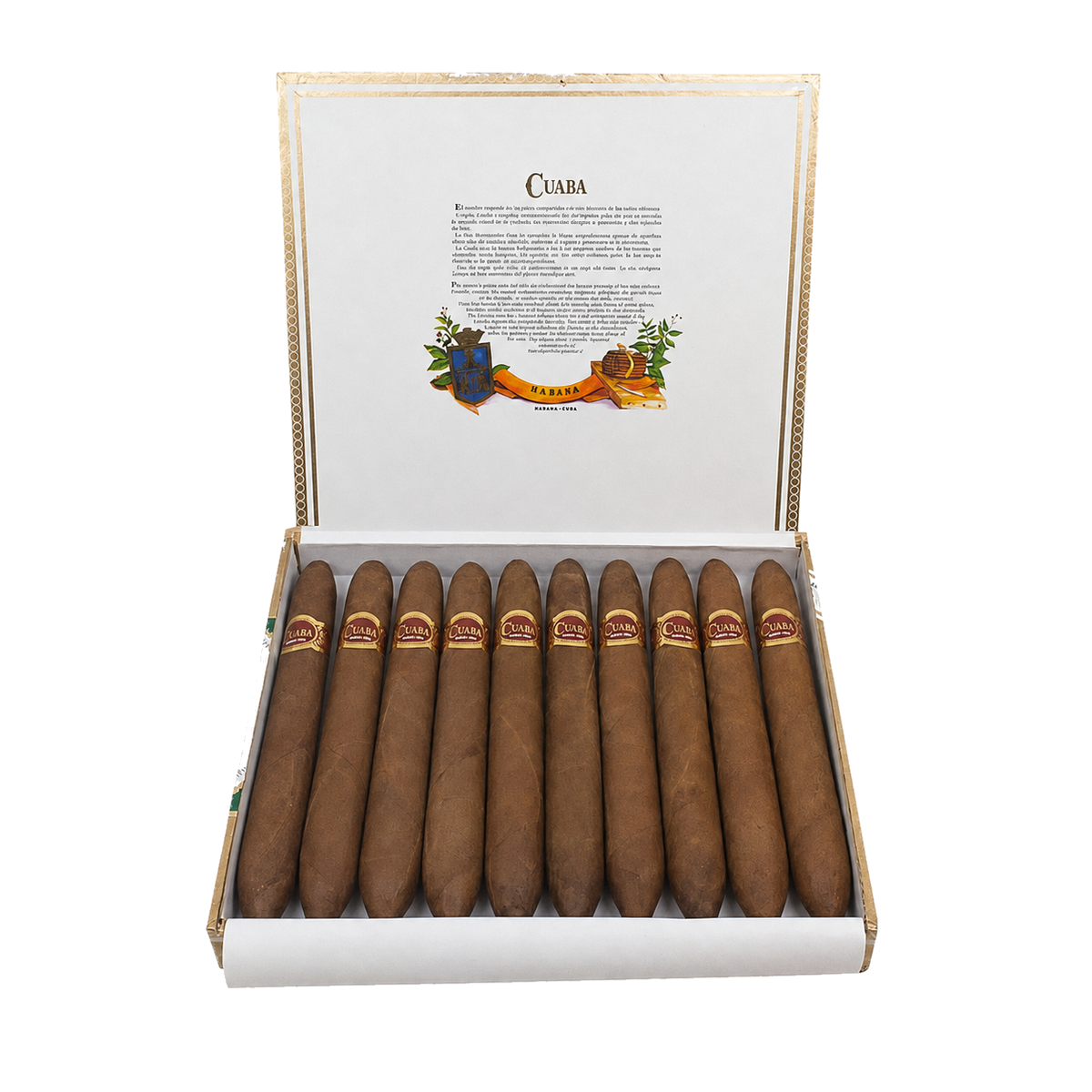 Cuaba Salomones (10)
