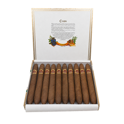 Cuaba Salomones (10)