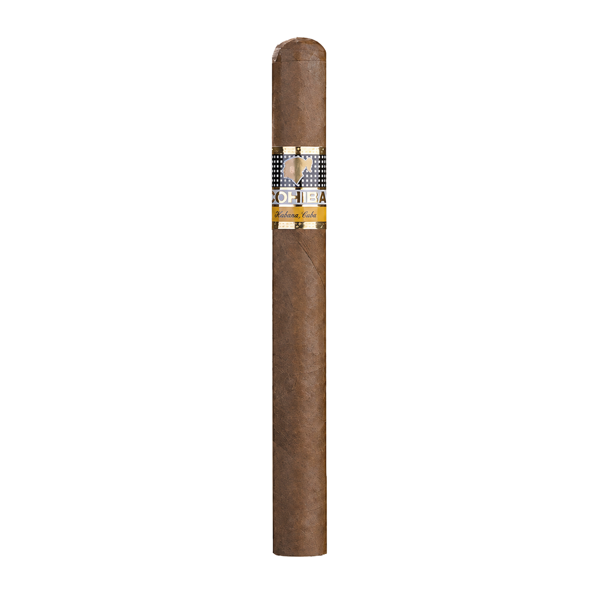 Cohiba Siglo 3 SLB (25)