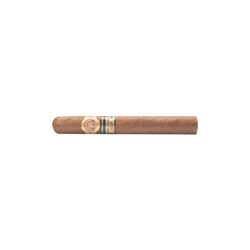 Ramón Allones Absolutos