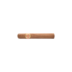 Ramón Allones – Allones No. 3 (10)