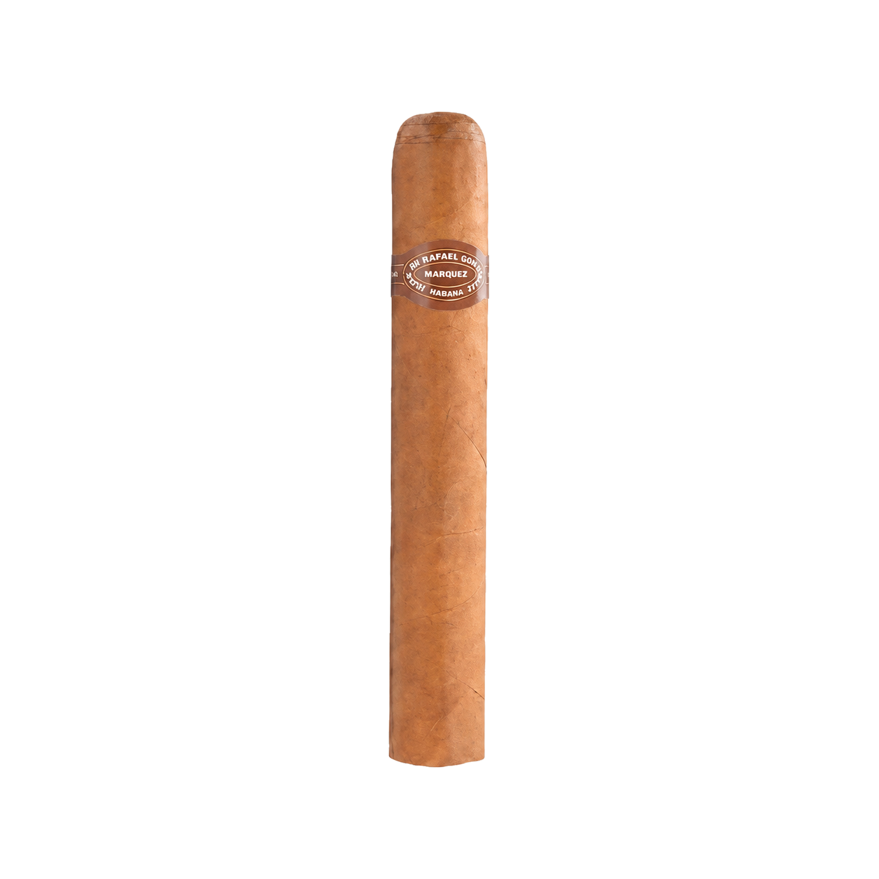 Flor De Rafael Gonzalez Coronas de Lonsdales (10)
