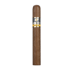 Cohiba Siglo 4 SLB (25)