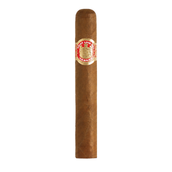Saint Luis Rey Regios (25)