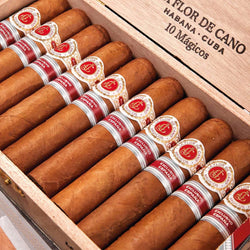 Flor de Cano Mágicos Edición Regional 2018 (10)