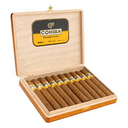 Cohiba Pirámides Extra (10)