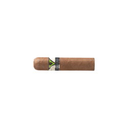 韦格罗斯 Centrogordos (16)