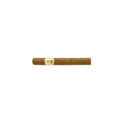 Bolívar Petit Coronas