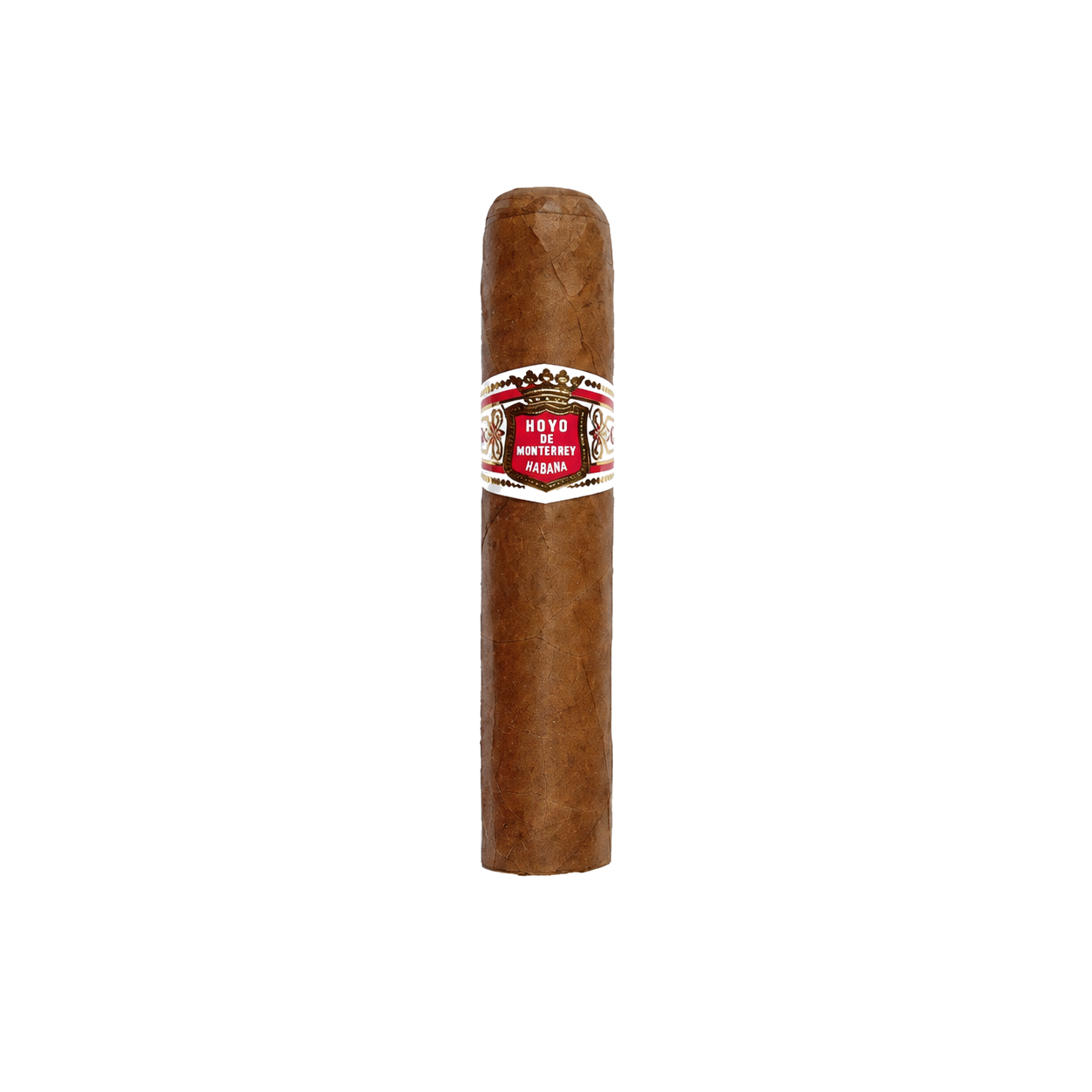 Hoyo De Monterrey Petit Robusto SLB (25)