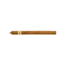 Trinidad Fundadores