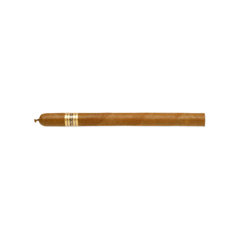 Trinidad Fundadores