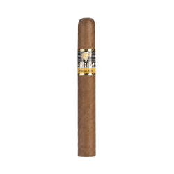 Cohiba Siglo 2 SLB (25)
