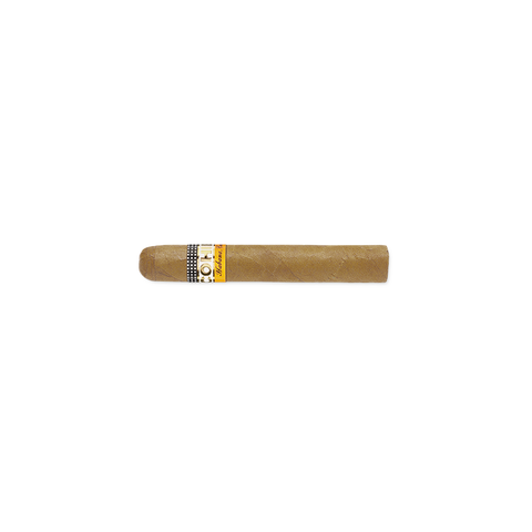 Cohiba Siglo I