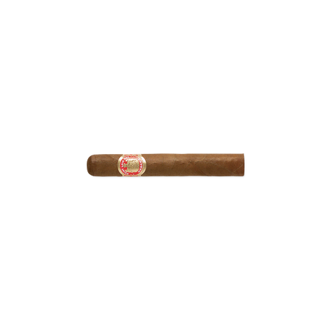 Saint Luis Rey Regios