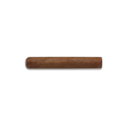 Flor De Rafael González Perlas (25) - 2
